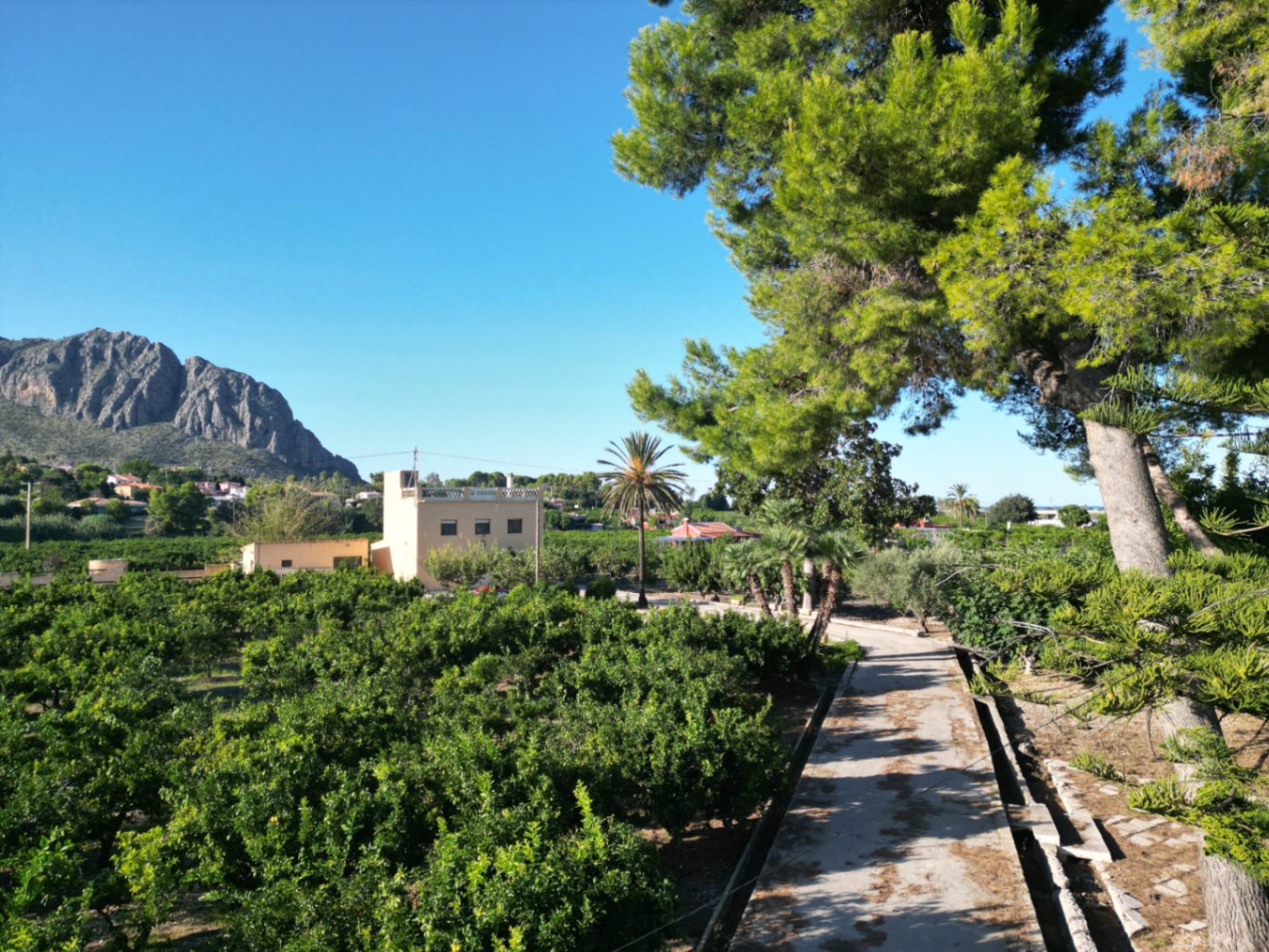 Finca La Casona en Beniarbeig